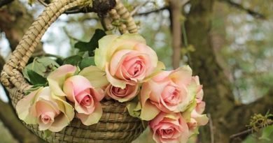 Orquideas | rosas vermelhas | ramos de noiva